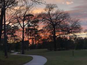 Cypress Forest Park Sunset